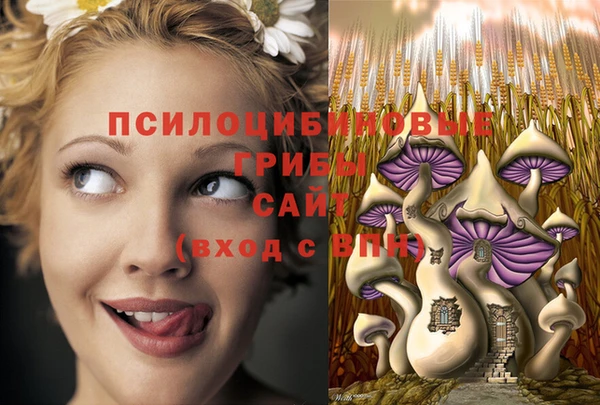 не бодяженный Абдулино
